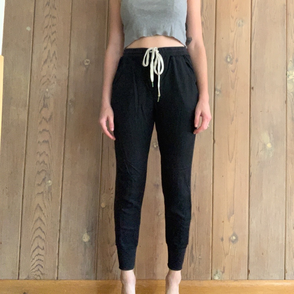 Aritzia Wilfred Jogger